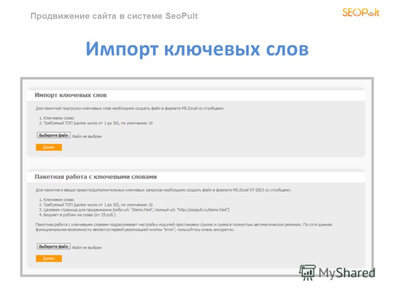 Продвижение сайта в системе SeoPult Импорт ключевых слов