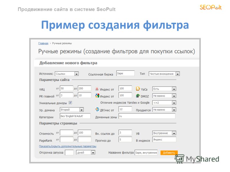 Продвижение сайта в системе SeoPult Пример создания фильтра