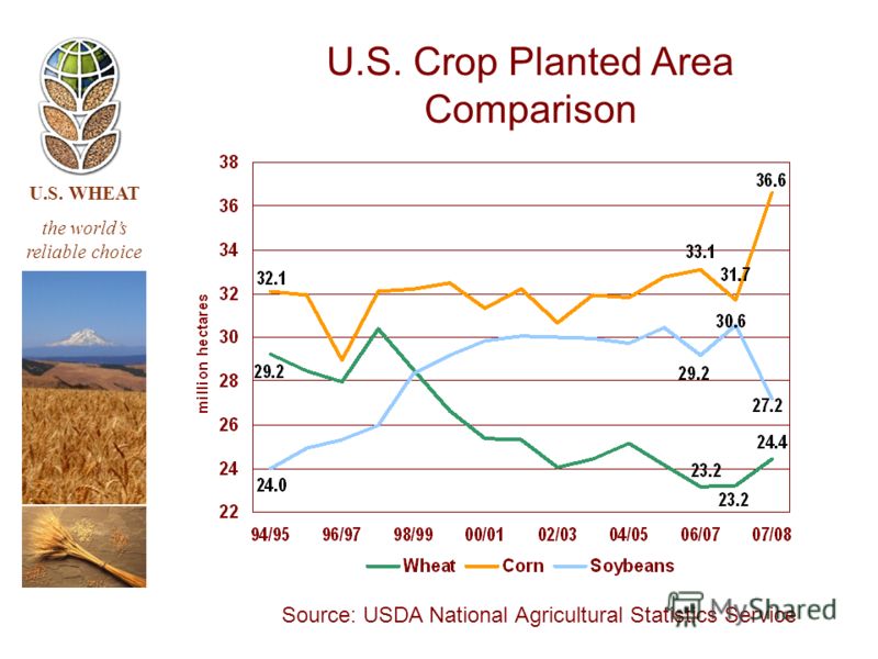 U.S. WHEAT the worlds reliable choice U.S. Crop Planted Area Comparison Source: USDA National Agricultural Statistics Service