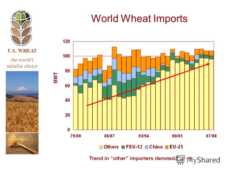 U.S. WHEAT the worlds reliable choice World Wheat Imports Trend in other importers denoted ( )