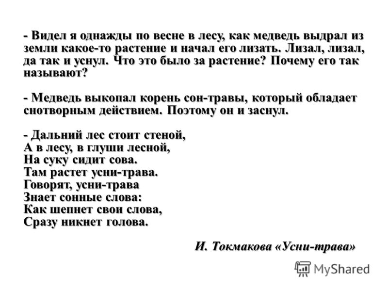 Чем подкормить огурцы. Подкормка огурцов дрожжами, золой Томаты Яблонька России