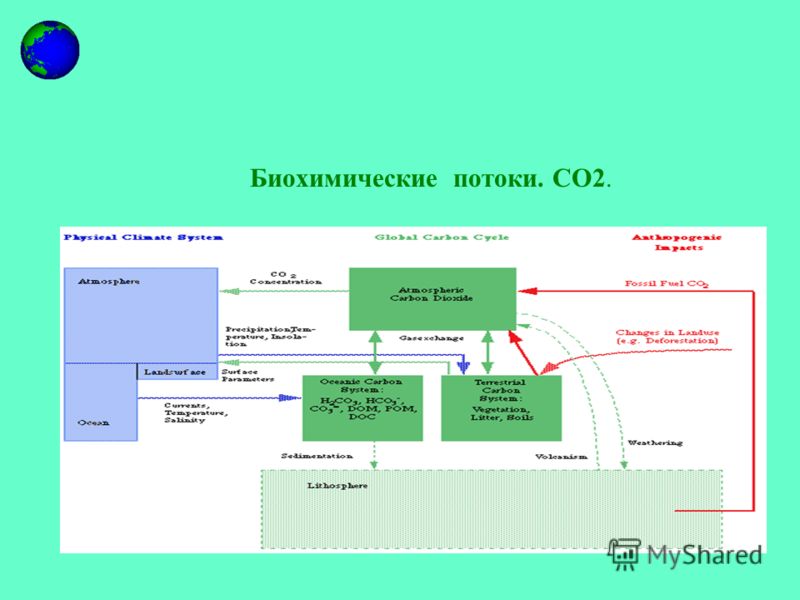 Биохимические потоки. CO2.
