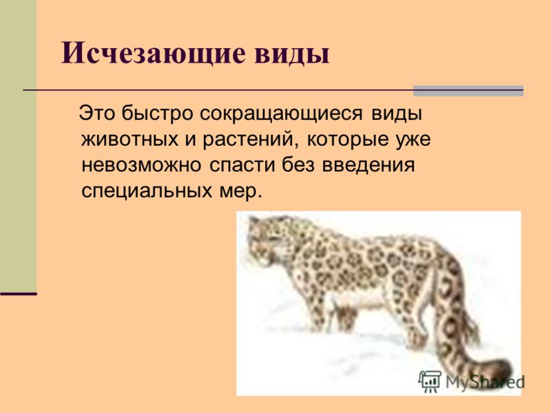[PUNIQRANDLINE-(au-dating-names.txt) 38 Доклад исчезающие виды животных и растений 3213