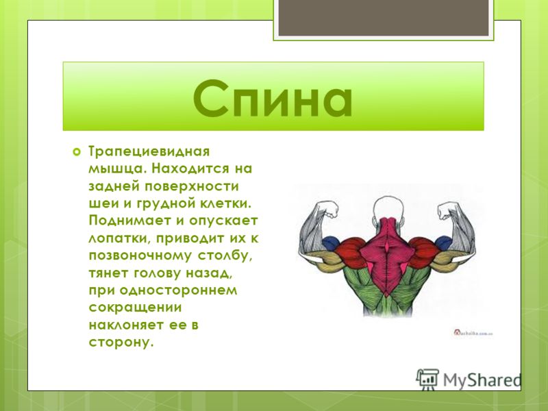 Тянет ноги в тазобедренном суставе Тянет ноги в тазобедренном суставе