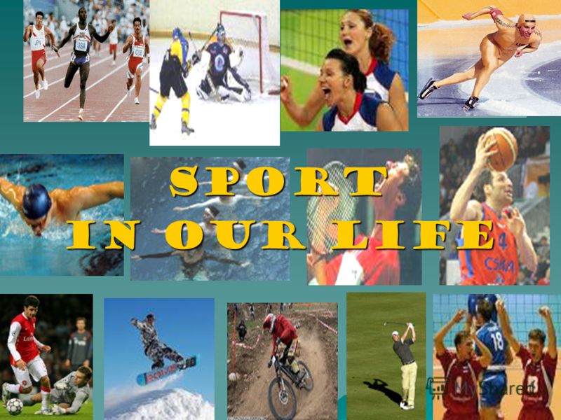 the importance of sport in my life