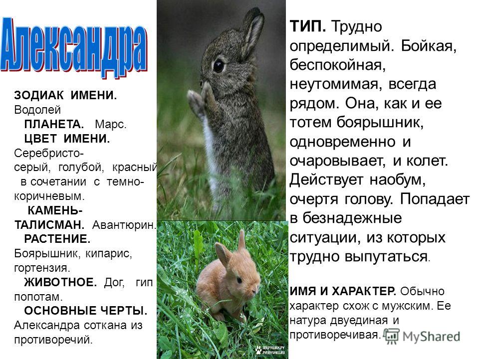 Венера талисман камень Венера талисман камень