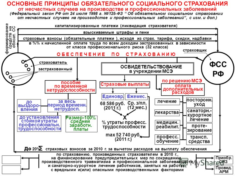 Принципы и виды обязательного социального страхования Принципы и виды обязательного социального страхования