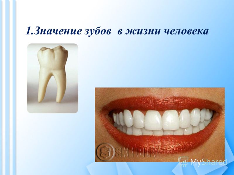 Сонник что значит когда снятся зубы Сонник что значит когда снятся зубы