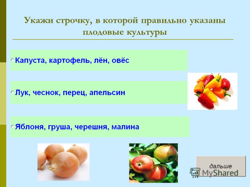 Презентация на Тему Зерновые Культуры
