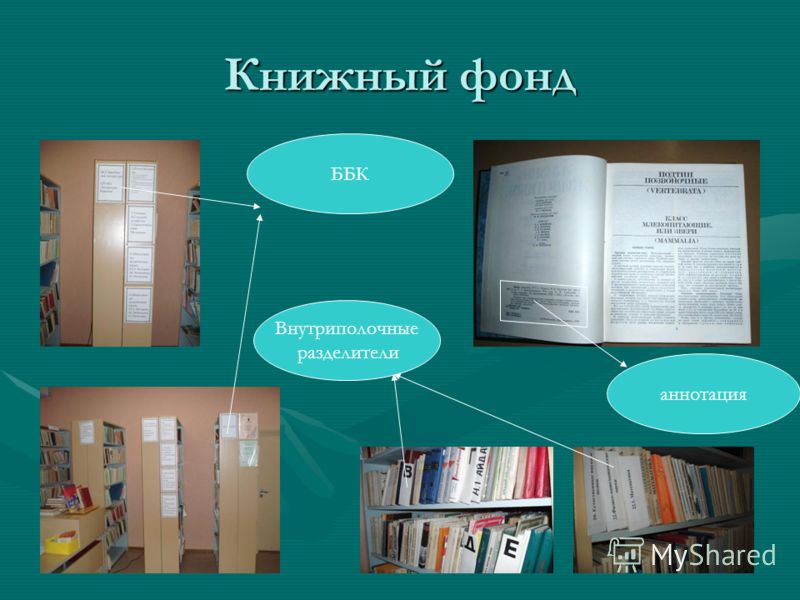 Презентация на тему: "выбор книги в библиотеке. библиографич.