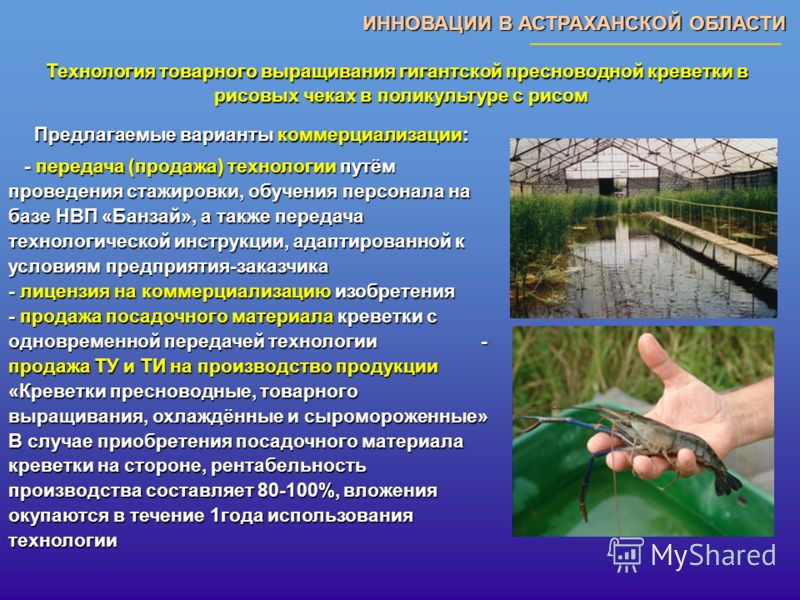 Носки поперечное вязание спицами 60