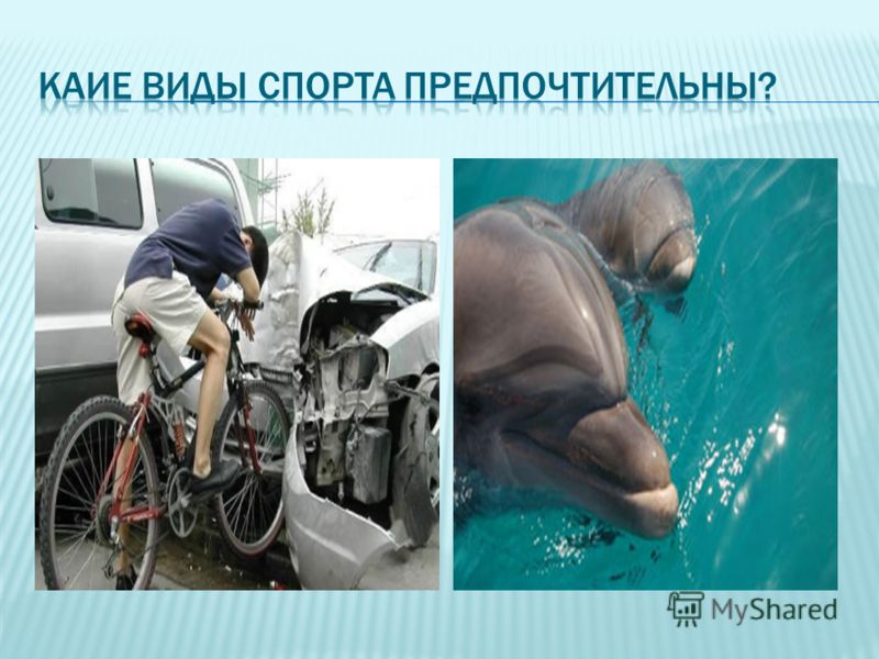 База данных
