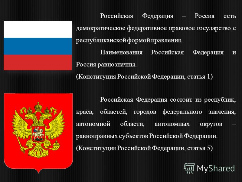 Реферат: Российская Федерация - демократическое государство
