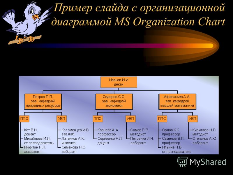 Пример слайда с организационной диаграммой MS Organization Chart