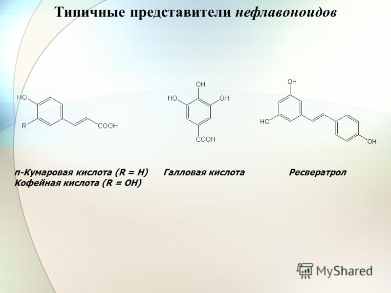 Типичные представители нефлавоноидов п-Кумаровая кислота (R = H) Галловая кислота Ресвератрол Кофейная кислота (R = OH)