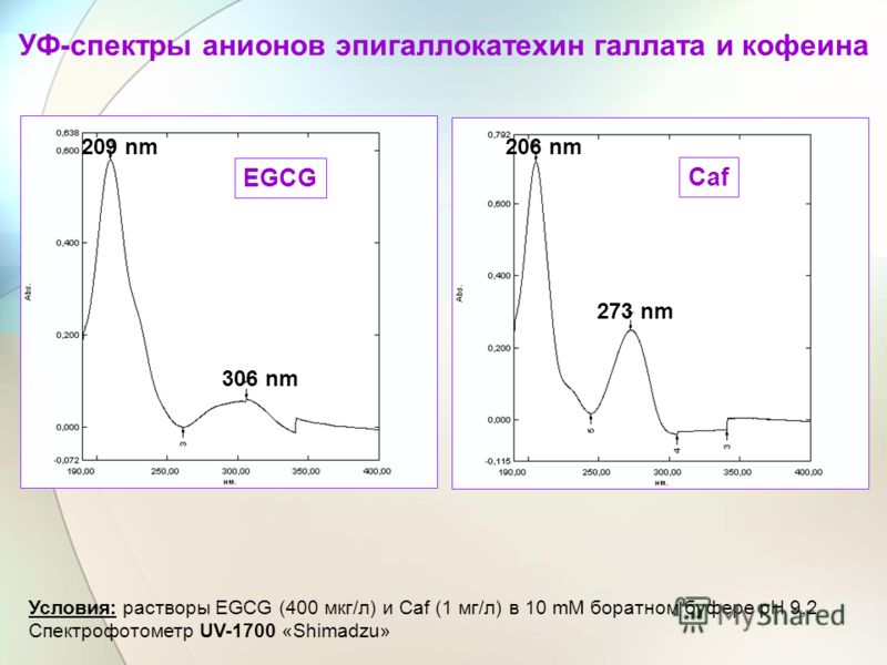 EGCG Caf 306 nm 209 nm 273 nm 206 nm УФ-спектры анионов эпигаллокатехин галлата и кофеина Условия: растворы EGCG (400 мкг/л) и Caf (1 мг/л) в 10 mM боратном буфере pH 9,2 Спектрофотометр UV-1700 «Shimadzu»