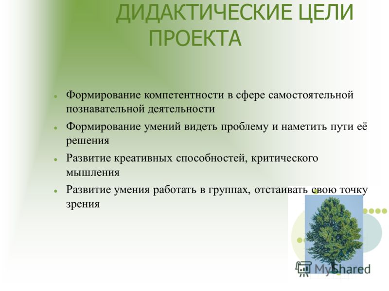 Презентация на тему: "Метод проектов Теория и практика Алексеева Е.В.. Проект Сл