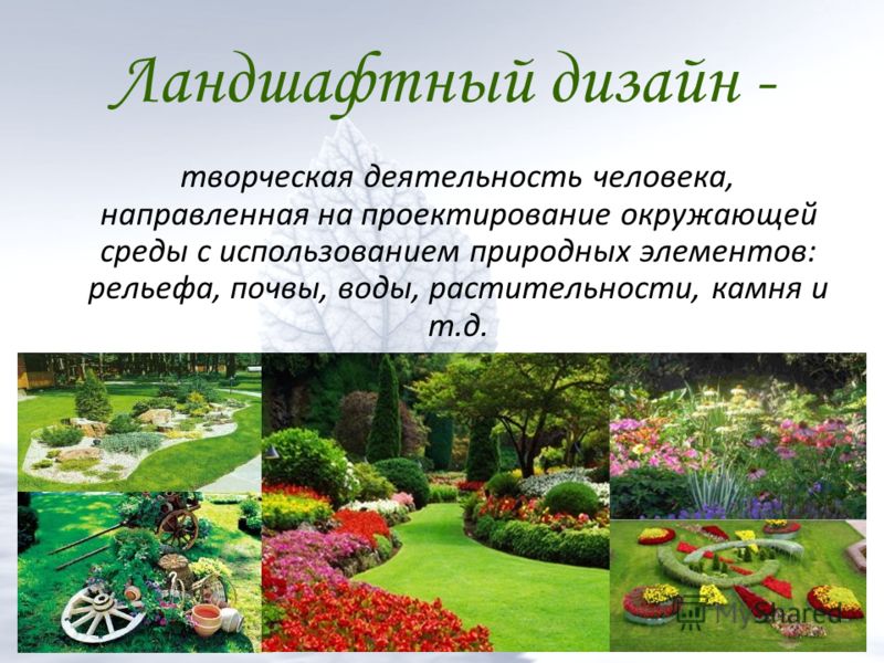 Ландшафтный дизайн что это кратко Ландшафтный дизайн что это кратко