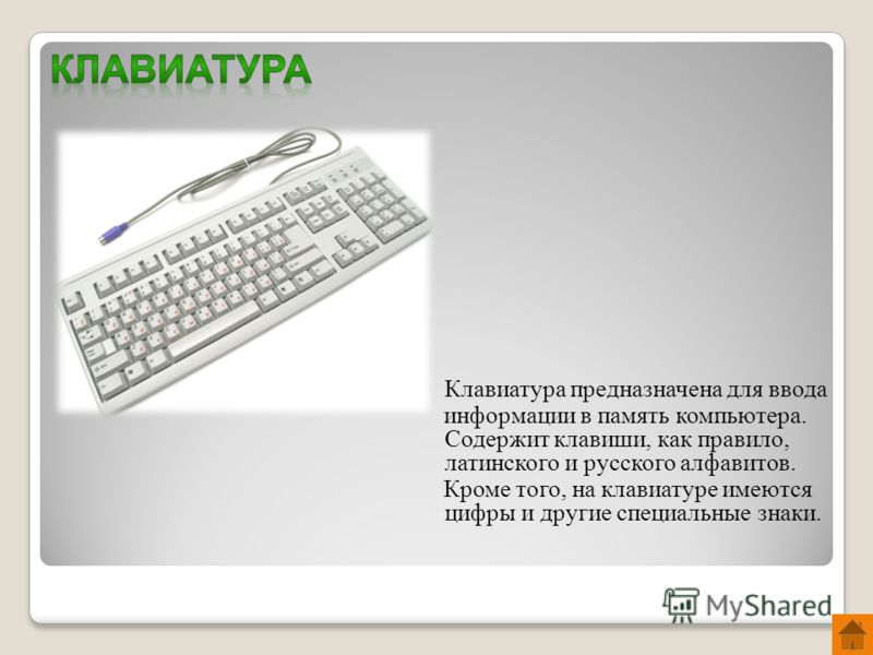 Клавиатура предназначена для ввода информации в память компьютера. Содержит клавиши, как правило, латинского и русского алфавитов. Кроме того, на клавиатуре имеются цифры и другие специальные знаки.