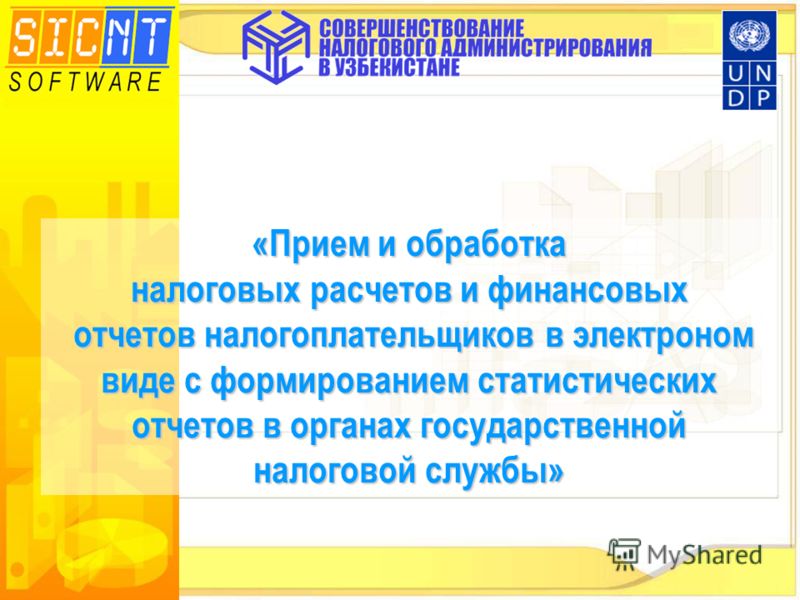 Заказ пиццы ташир с доставкой