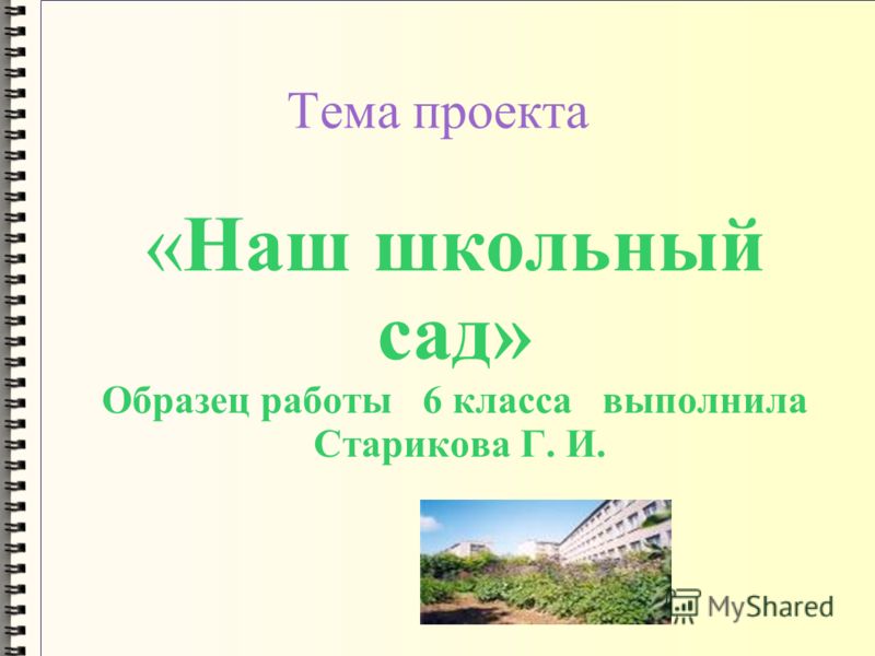 Интересные исследовательские проекты - Basanova.ru