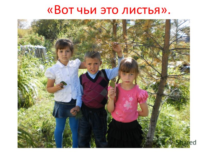 фото 1 класс группы онлайн фото 1 класс группы