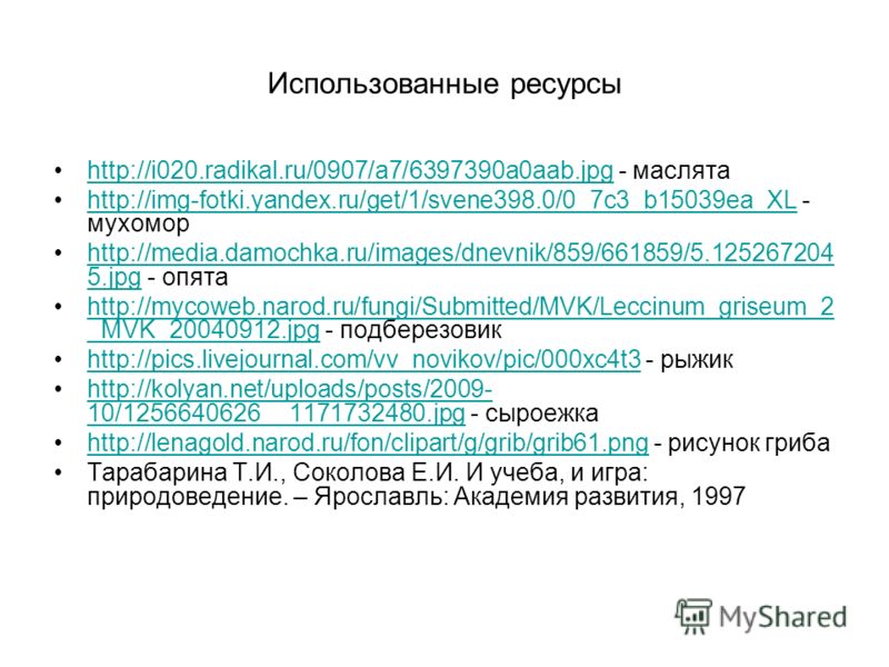 Использованные ресурсы http://i020.radikal.ru/0907/a7/6397390a0aab.jpg - маслятаhttp://i020.radikal.ru/0907/a7/6397390a0aab.jpg http://img-fotki.yandex.ru/get/1/svene398.0/0_7c3_b15039ea_XL - мухоморhttp://img-fotki.yandex.ru/get/1/svene398.0/0_7c3_b