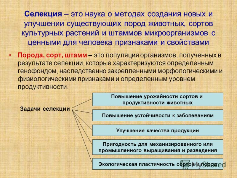 И.В.Мичурин Избранные сочинения, М.:Московский рабочий, 1950 Селекция Википедия