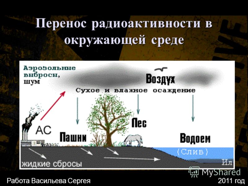Перенос радиоактивности в окружающей среде Работа Васильева Сергея2011 год