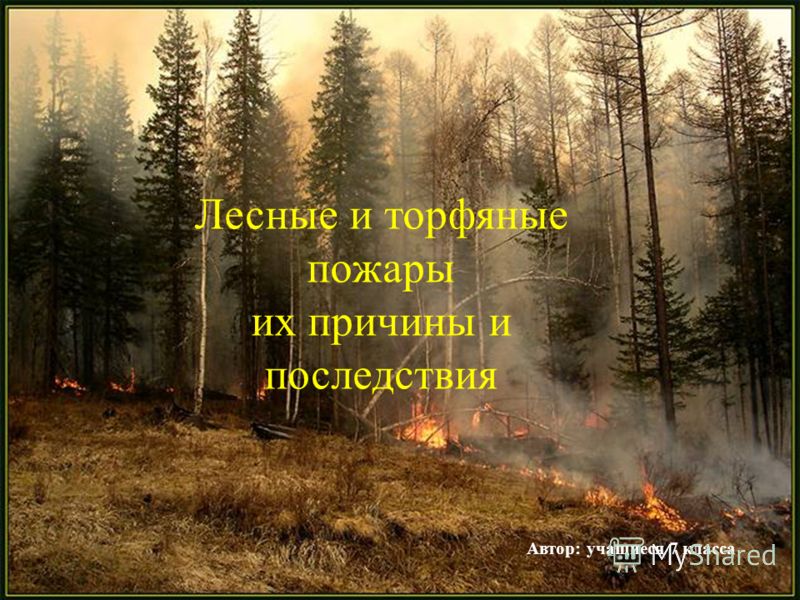 [PUNIQRANDLINE-(au-dating-names.txt) 55 Доклад лесные и торфяные пожары 6977