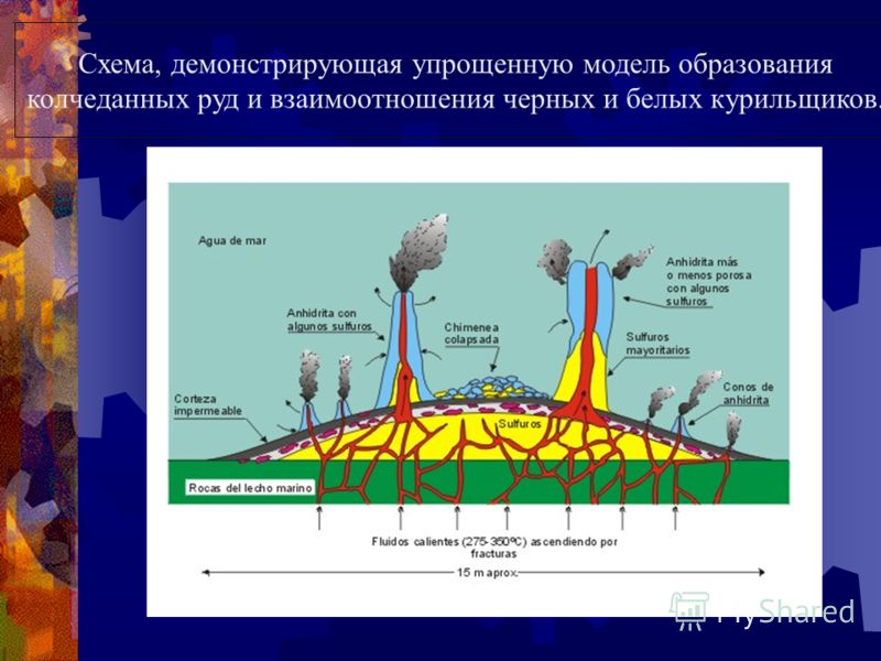 Это больше, чем снос в растворенном виде с континентов Ежегодно образуется дополнительно 9 км 3 базальтов Гидротермальные поля образуются в рифтах, трансформных разломах и на их пересечении. Рудные столбы обычно высотой 20-50 м с диаметром жерла 10-3