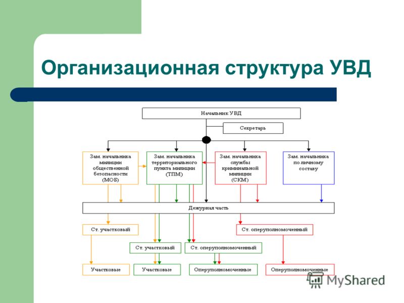 приказ о проведении служебной проверки образец