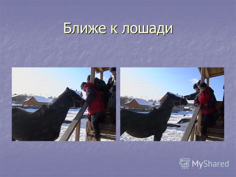Лечение цестоды