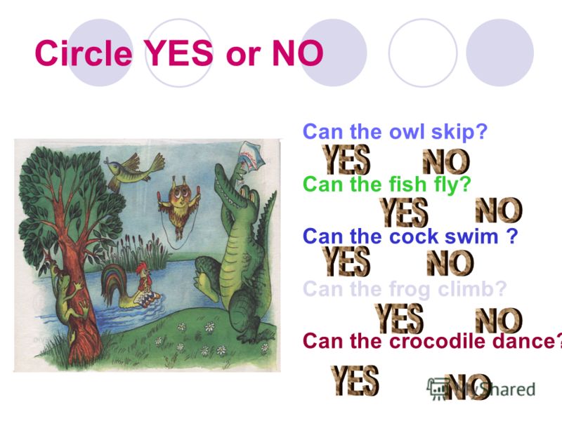 Circle YES or NO Can the owl skip? Can the fish fly? Can the cock swim ? Can the frog climb? Can the crocodile dance?