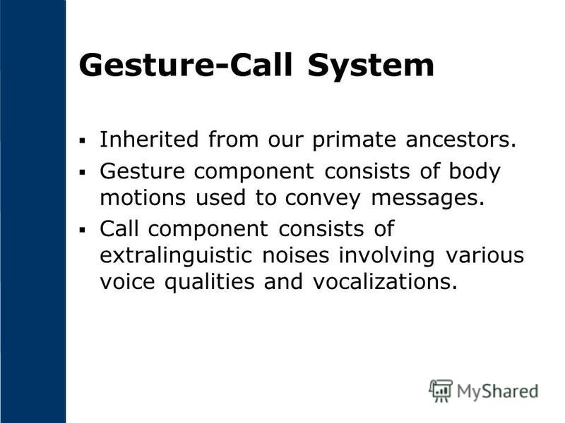 primate communication essay primate communication essay