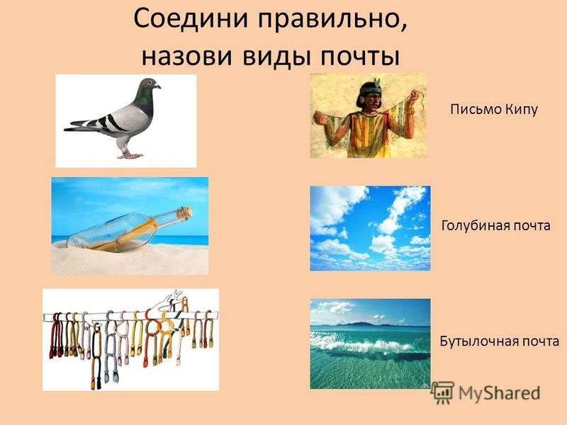 Фото Виды Почты