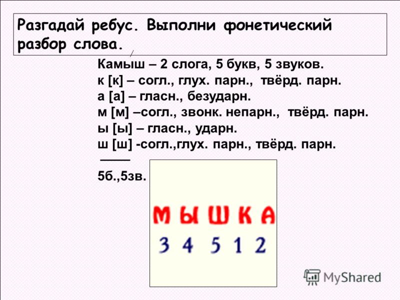 Схема фонетического разбора 1 класс Схема фонетического разбора 1 класс