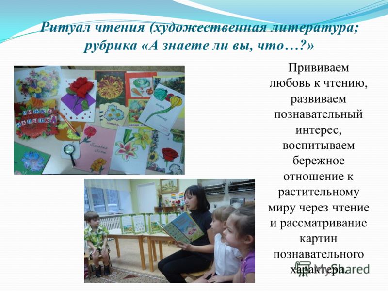 Развиваем любовь к чтению Развиваем любовь к чтению