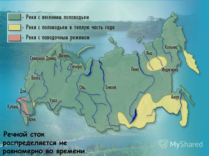 Рабочая программа по русскому языку учебник ладыженской 6 класс