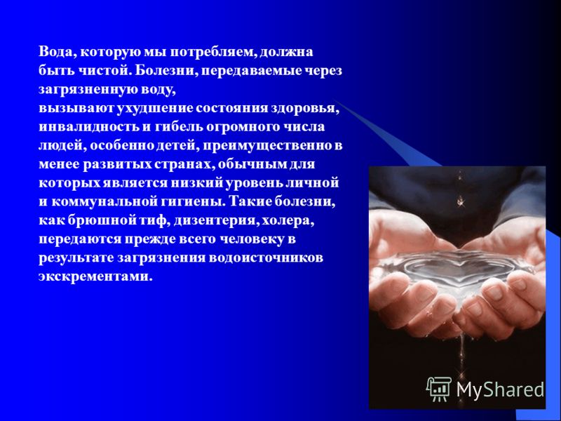 Нет зубов в привкус Нет зубов в привкус
