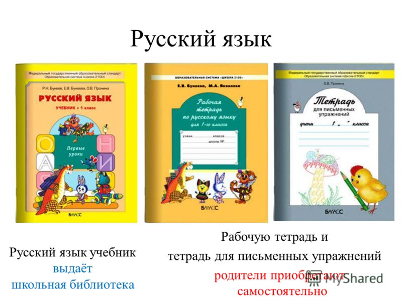 Рабочая программа по литературе 6 класс снежневская хренова