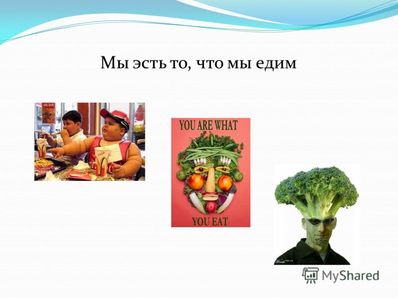Мы эсть то, что мы едим
