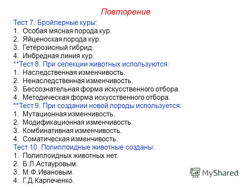 Презентация Породы Кур Презентация Породы Кур