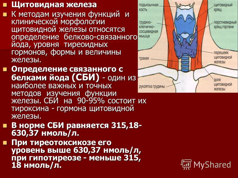метрологическая поверка водосчетчиков