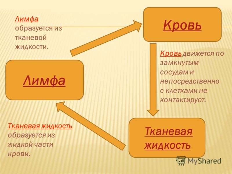 углеводы это какие продукты таблица для похудения углеводы это какие продукты таблица для похудения