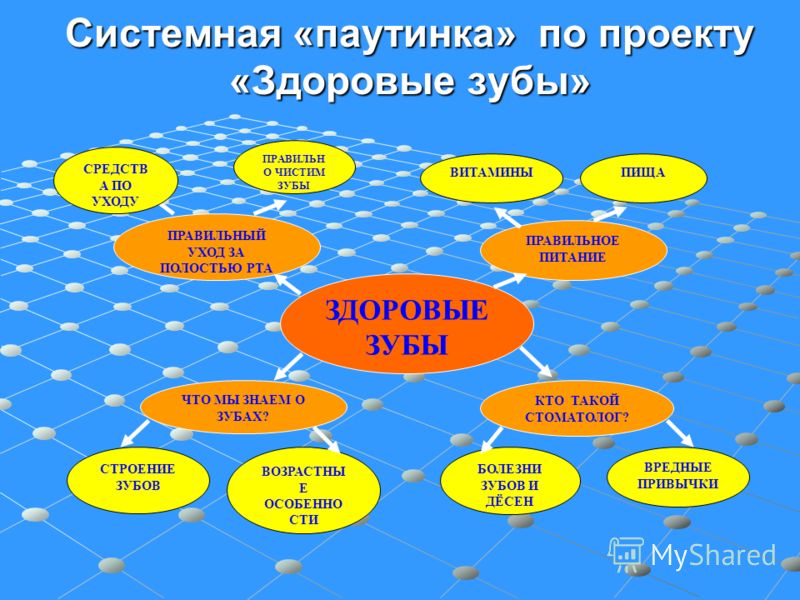 здоровая еда спб здоровая еда спб