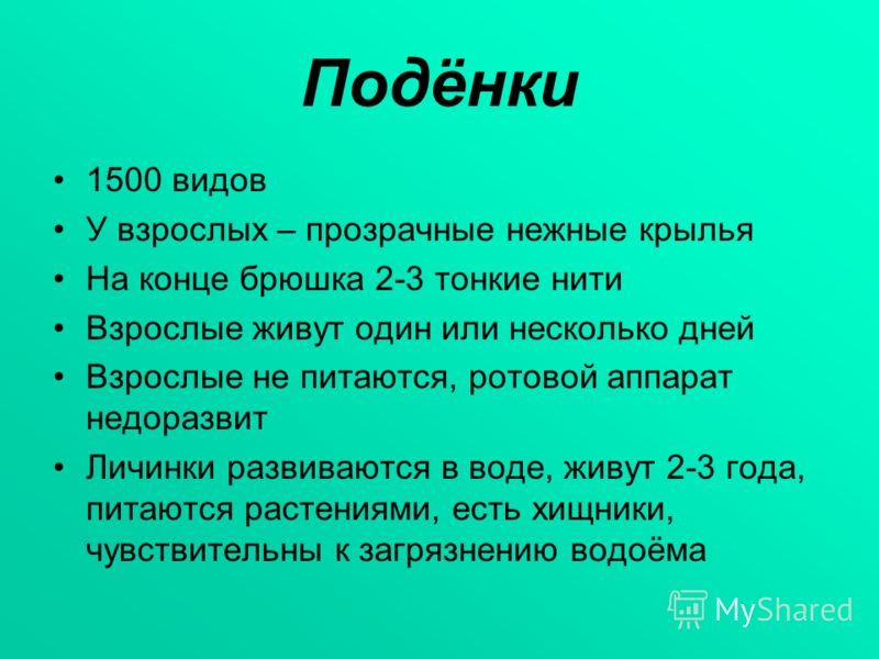 паразиты в ротовой полости человека паразиты в ротовой полости человека