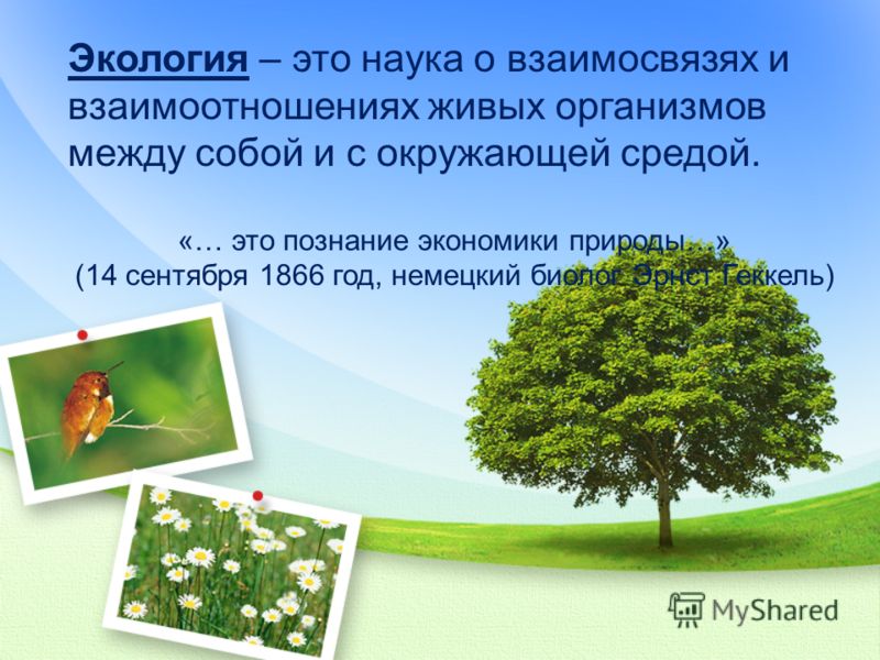 Экология – это наука о взаимосвязях и Экология – это наука о взаимосвязях и