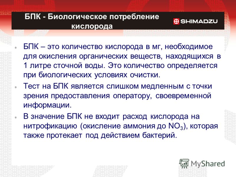 бланк рэо водительская карточка