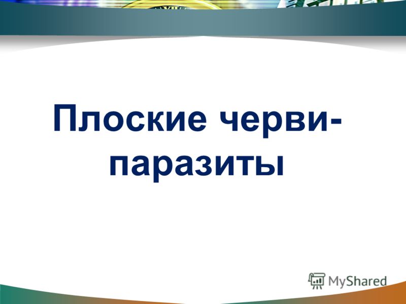 паразиты сосальщики лечение паразиты сосальщики лечение